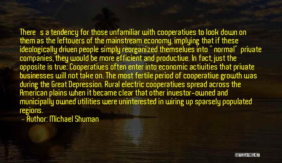 Michael Shuman Quotes: There's A Tendency For Those Unfamiliar With Cooperatives To Look Down On Them As The Leftovers Of The Mainstream Economy,