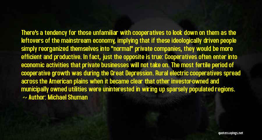 Michael Shuman Quotes: There's A Tendency For Those Unfamiliar With Cooperatives To Look Down On Them As The Leftovers Of The Mainstream Economy,