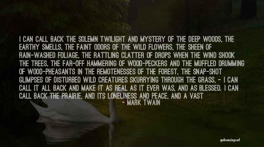 4asbenefits Quotes By Mark Twain