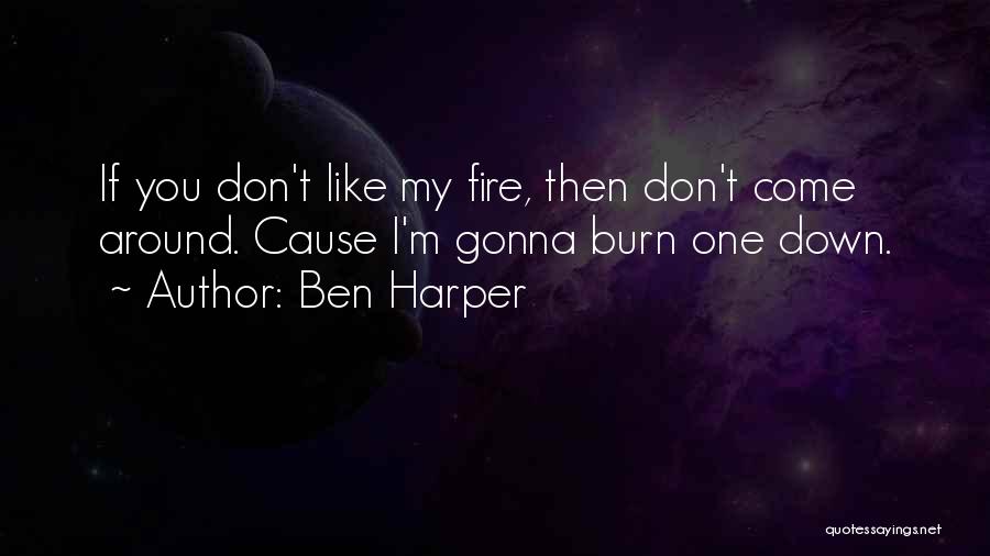 4dev Quotes By Ben Harper