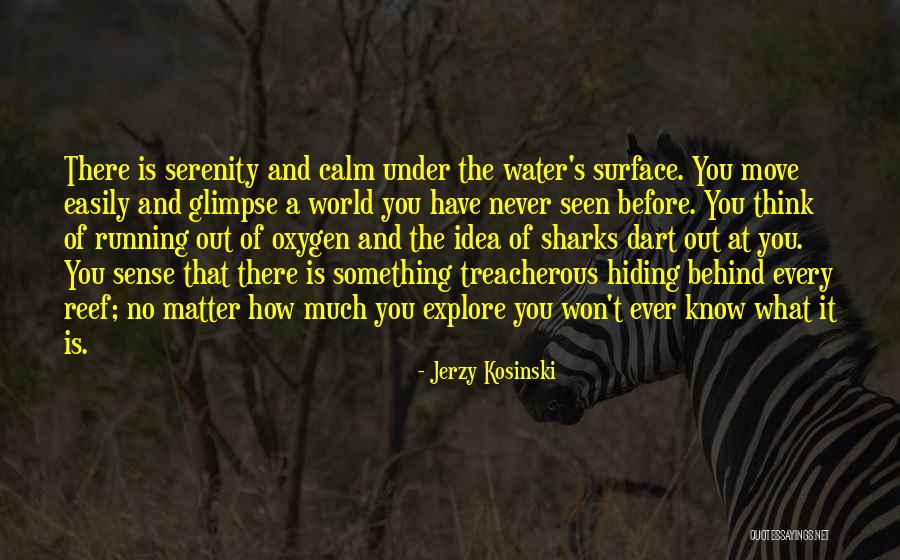 4front Quotes By Jerzy Kosinski 4front Quotes By Jerzy Kosinski