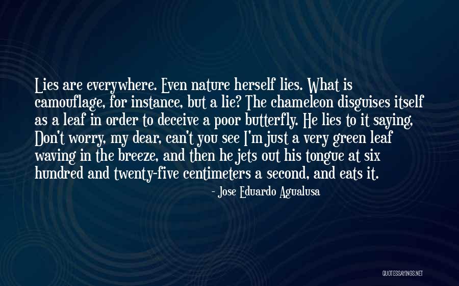 5 Centimeters Per Second Quotes By Jose Eduardo Agualusa 5 Centimeters Per Second Quotes By Jose Eduardo Agualusa