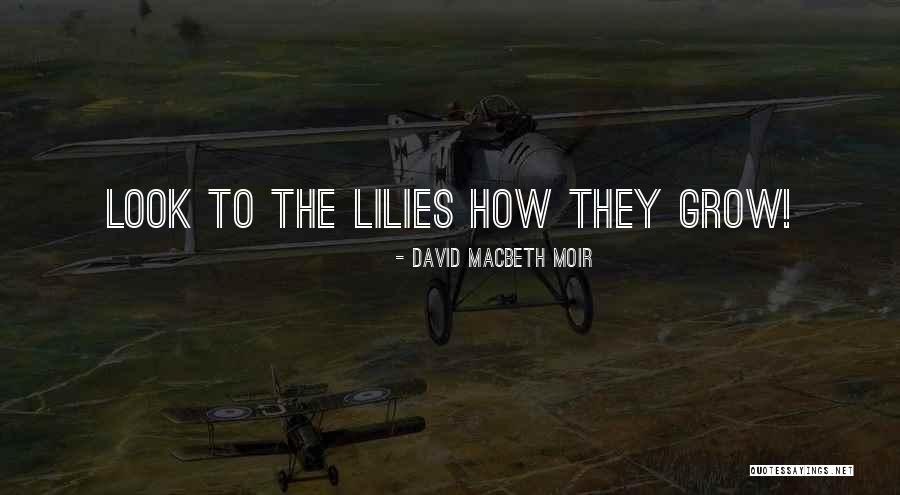 5 Cm Per Sec Quotes By David Macbeth Moir 5 Cm Per Sec Quotes By David Macbeth Moir