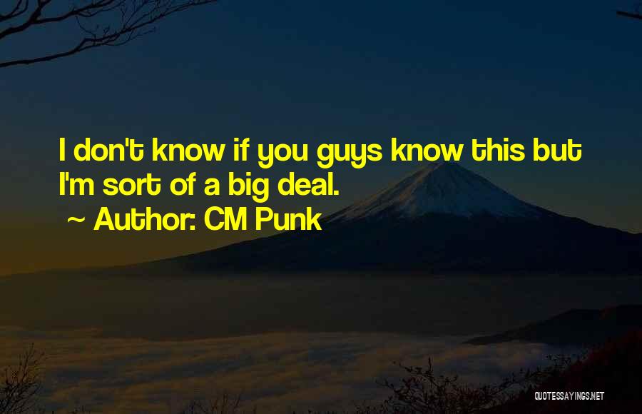 5 Cm S Quotes By CM Punk