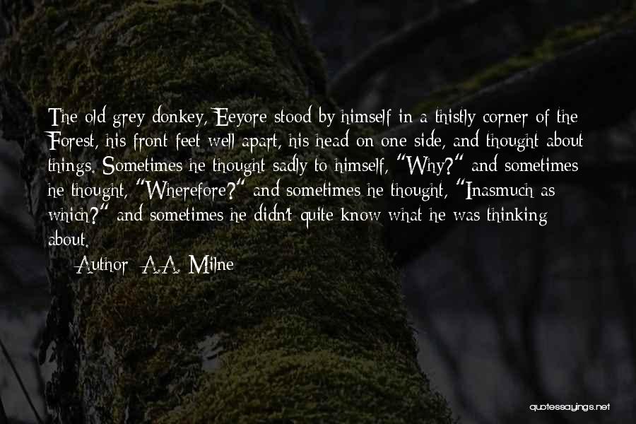 5 Feet Apart Quotes By A.A. Milne