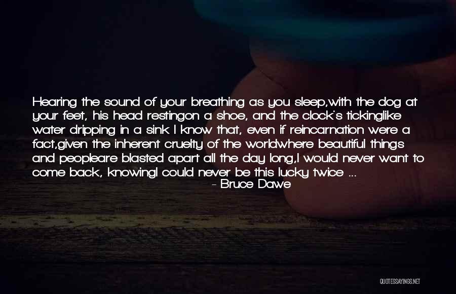 5 Feet Apart Quotes By Bruce Dawe