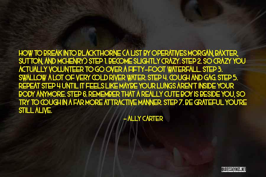 5 Foot Quotes By Ally Carter 5 Foot Quotes By Ally Carter