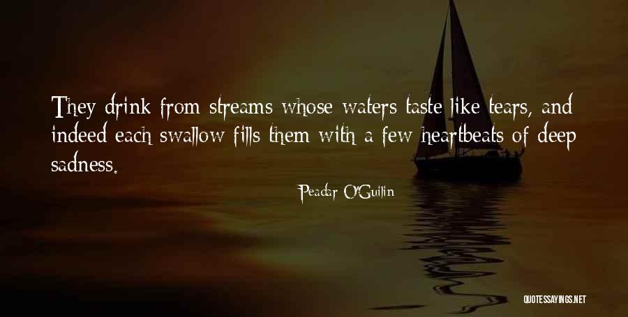 5 Heartbeats Quotes By Peadar O'Guilin 5 Heartbeats Quotes By Peadar O'Guilin