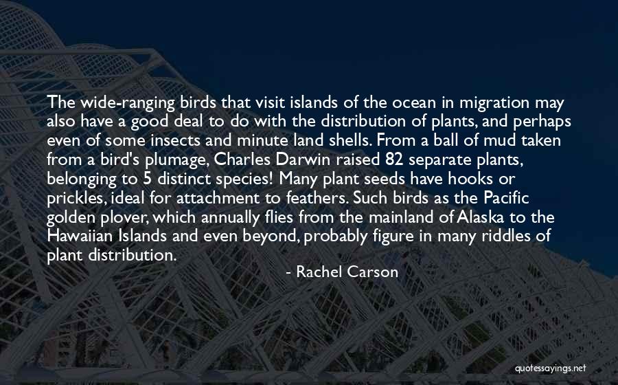 5 Minute Quotes By Rachel Carson 5 Minute Quotes By Rachel Carson