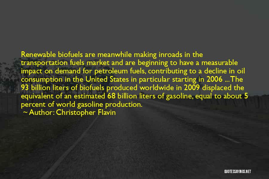 5 Percent Quotes By Christopher Flavin