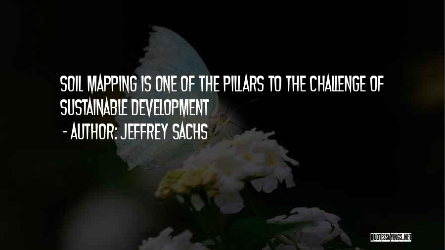 5 Pillars Quotes By Jeffrey Sachs