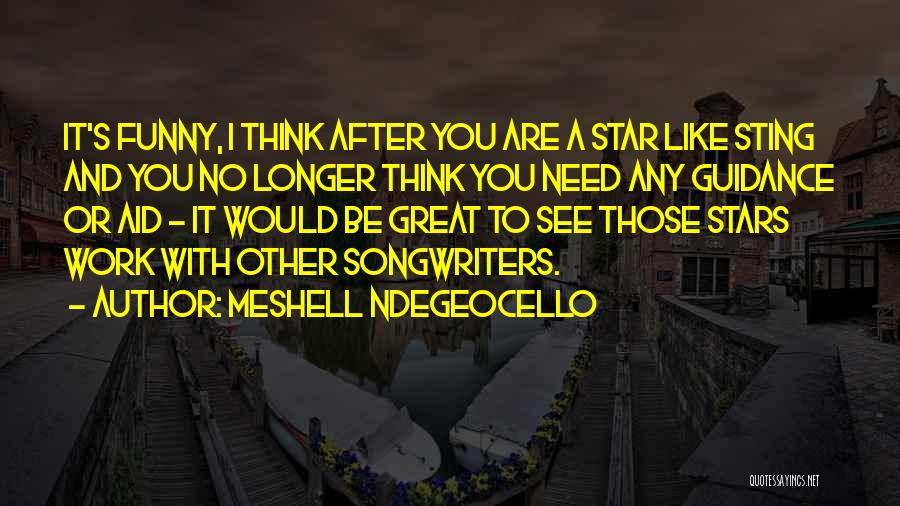 5 Star Funny Quotes By Meshell Ndegeocello