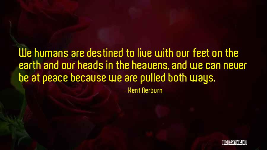 5 Star Writing Lyrical Sentences Quotes By Kent Nerburn 5 Star Writing Lyrical Sentences Quotes By Kent Nerburn