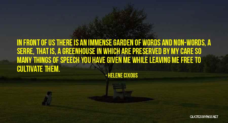 5 Words Less Quotes By Helene Cixous