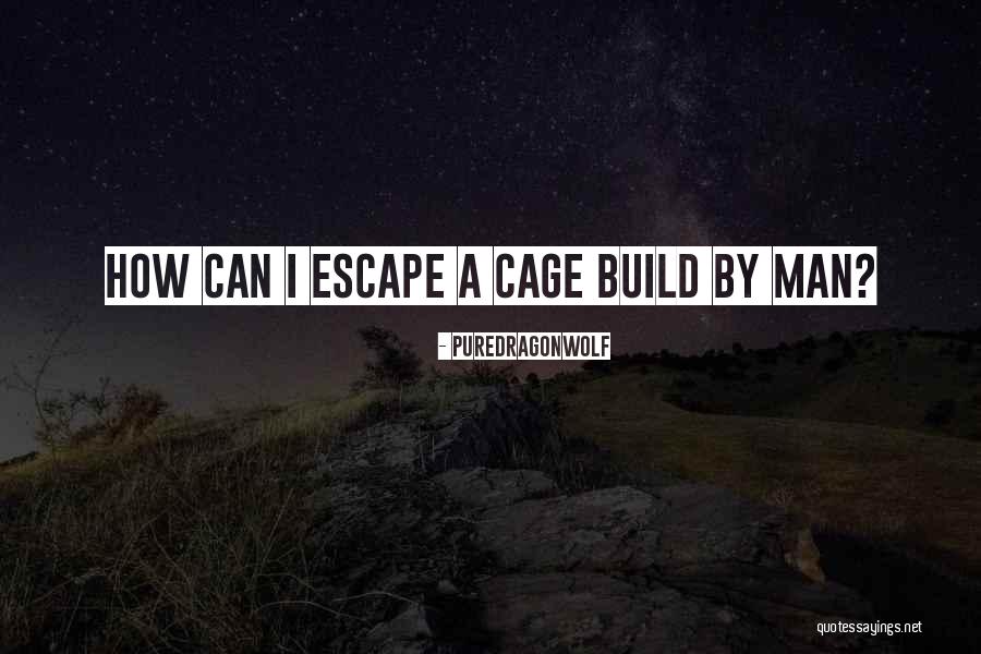 50 Character Love Quotes By PureDragonWolf 50 Character Love Quotes By PureDragonWolf
