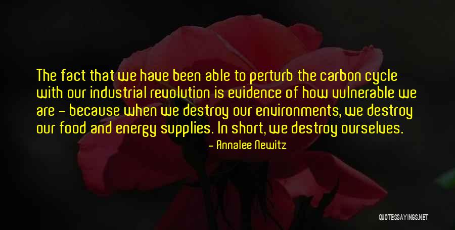 500 Gig Hard Drive Quotes By Annalee Newitz 500 Gig Hard Drive Quotes By Annalee Newitz