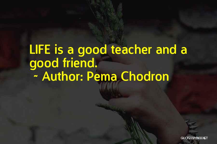 Pema Chodron Quotes: Life Is A Good Teacher And A Good Friend.