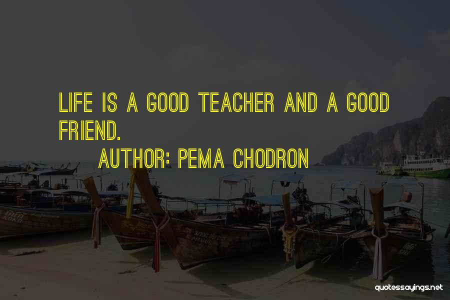 Pema Chodron Quotes: Life Is A Good Teacher And A Good Friend.