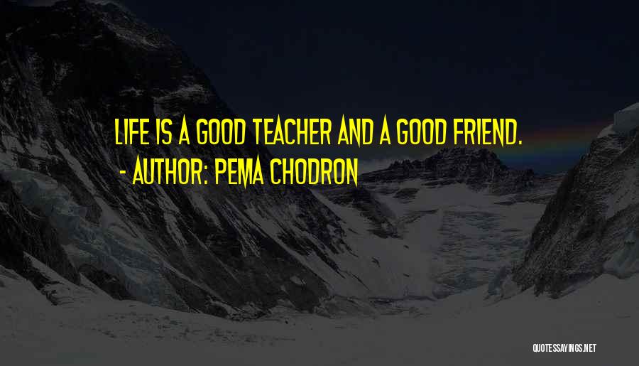 Pema Chodron Quotes: Life Is A Good Teacher And A Good Friend.