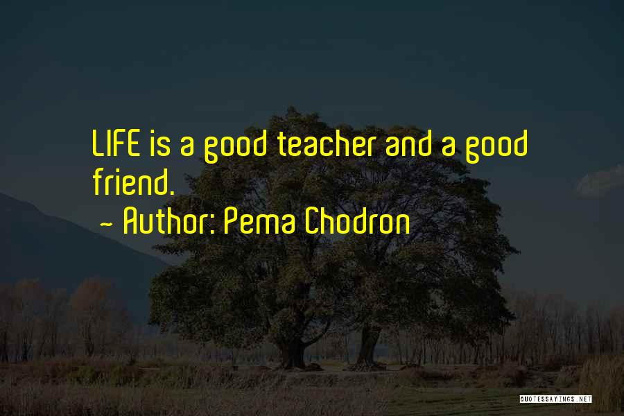 Pema Chodron Quotes: Life Is A Good Teacher And A Good Friend.