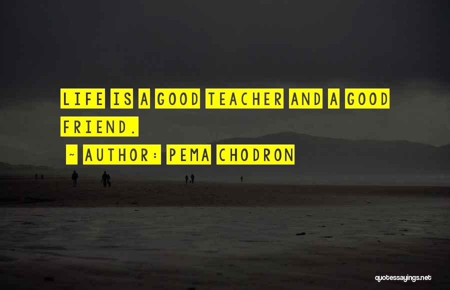 Pema Chodron Quotes: Life Is A Good Teacher And A Good Friend.