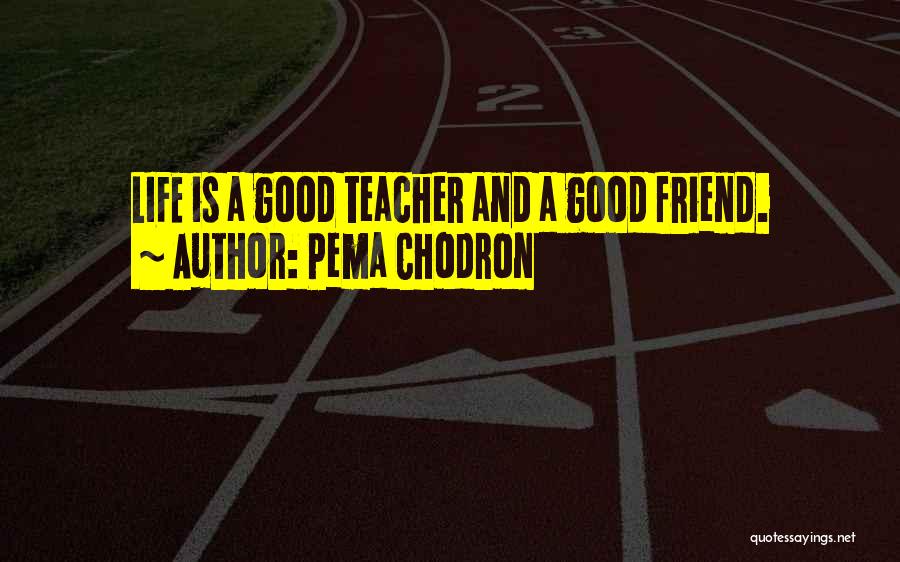 Pema Chodron Quotes: Life Is A Good Teacher And A Good Friend.