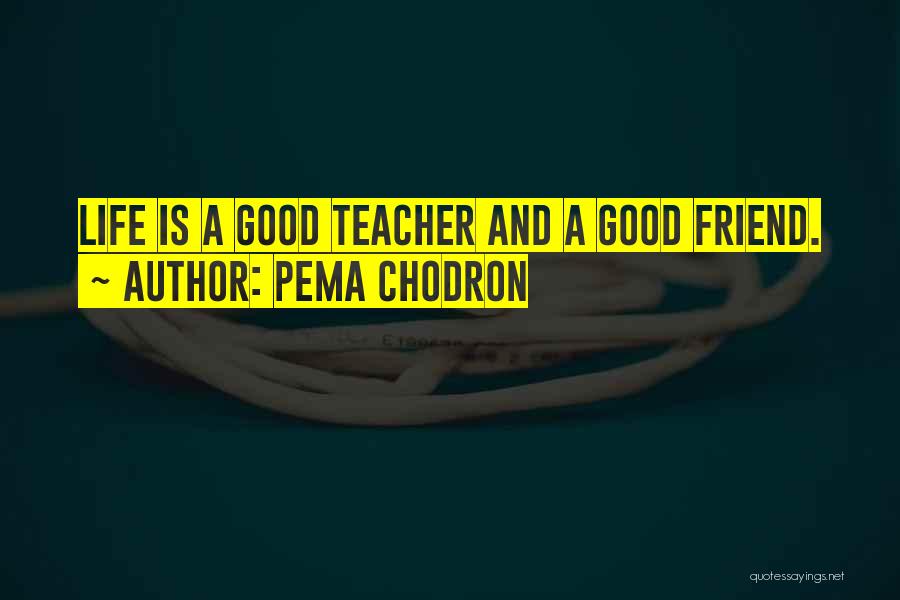 Pema Chodron Quotes: Life Is A Good Teacher And A Good Friend.