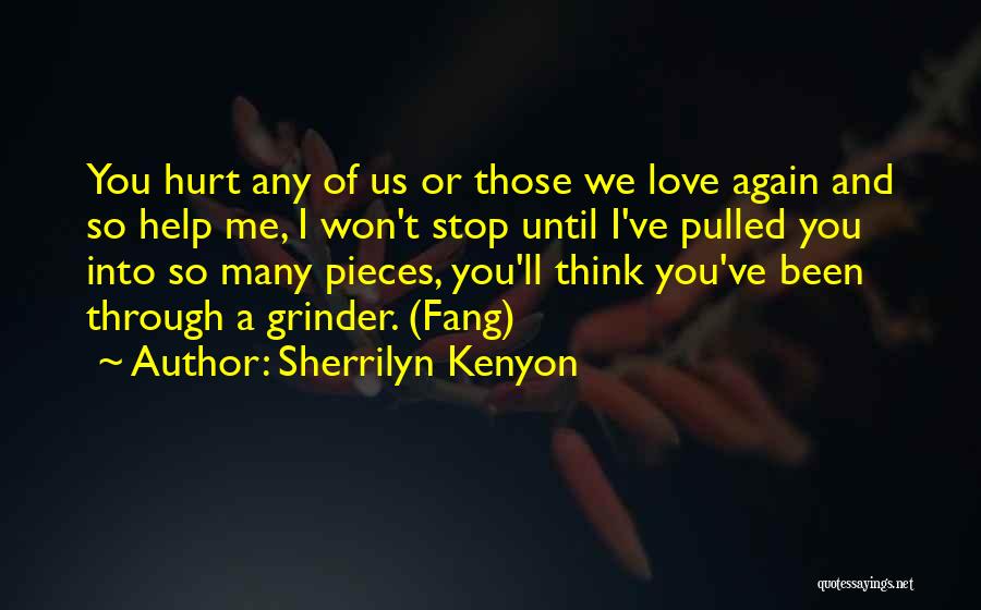 Sherrilyn Kenyon Quotes: You Hurt Any Of Us Or Those We Love Again And So Help Me, I Won't Stop Until I've Pulled