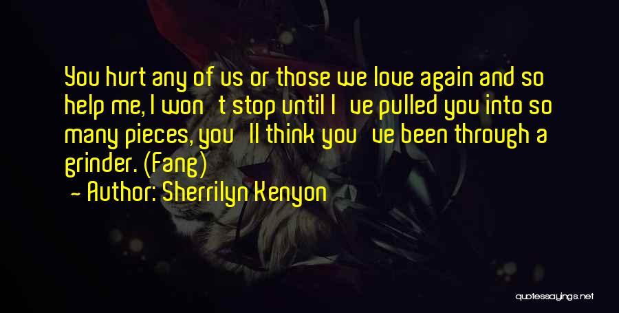 Sherrilyn Kenyon Quotes: You Hurt Any Of Us Or Those We Love Again And So Help Me, I Won't Stop Until I've Pulled