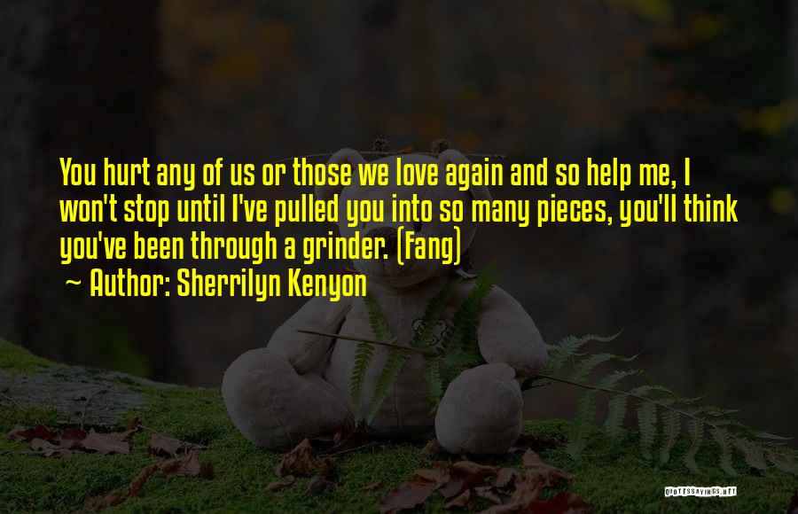 Sherrilyn Kenyon Quotes: You Hurt Any Of Us Or Those We Love Again And So Help Me, I Won't Stop Until I've Pulled