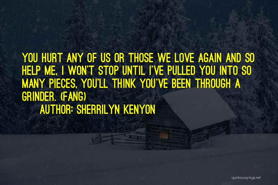 Sherrilyn Kenyon Quotes: You Hurt Any Of Us Or Those We Love Again And So Help Me, I Won't Stop Until I've Pulled