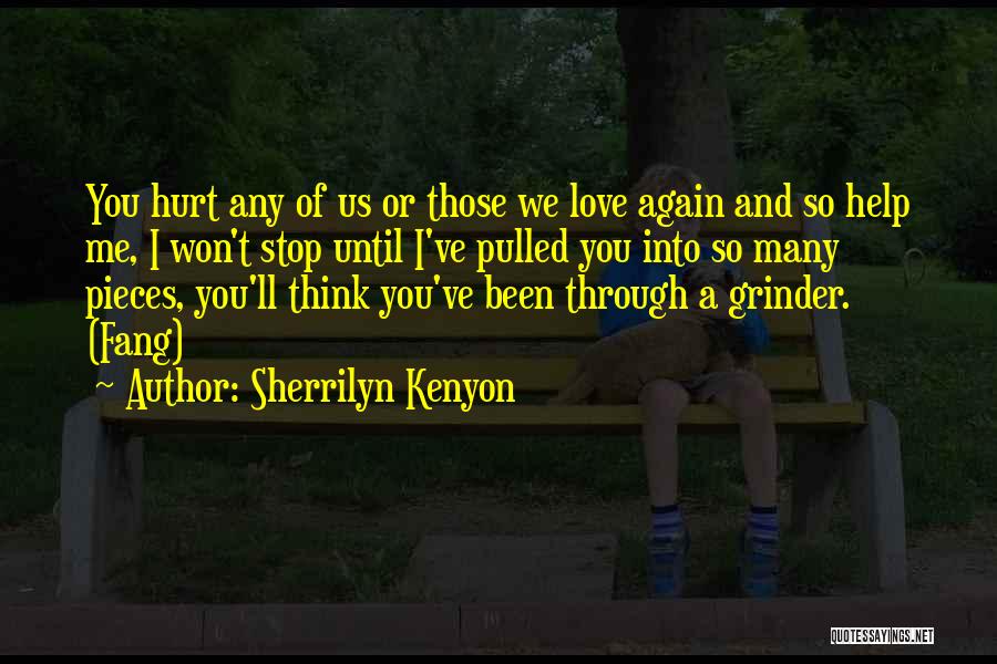 Sherrilyn Kenyon Quotes: You Hurt Any Of Us Or Those We Love Again And So Help Me, I Won't Stop Until I've Pulled