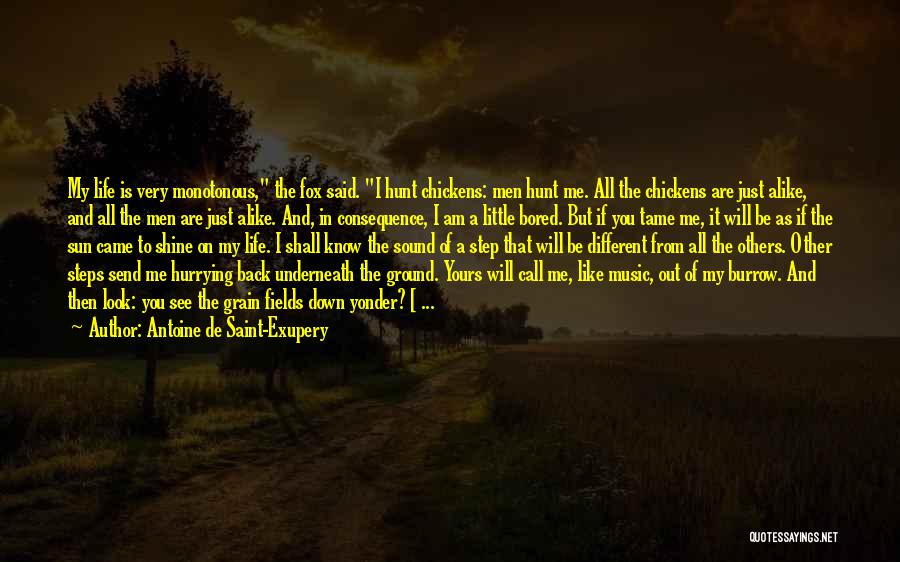 Antoine De Saint-Exupery Quotes: My Life Is Very Monotonous, The Fox Said. I Hunt Chickens: Men Hunt Me. All The Chickens Are Just Alike,