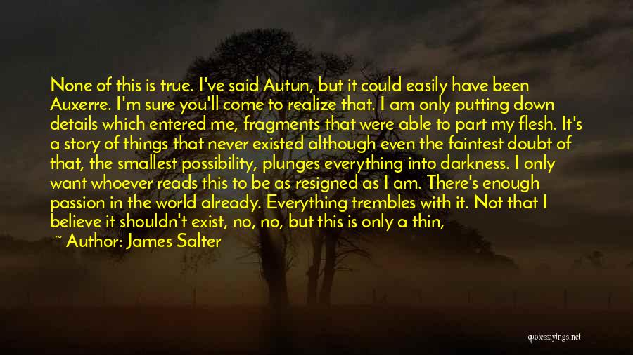 James Salter Quotes: None Of This Is True. I've Said Autun, But It Could Easily Have Been Auxerre. I'm Sure You'll Come To