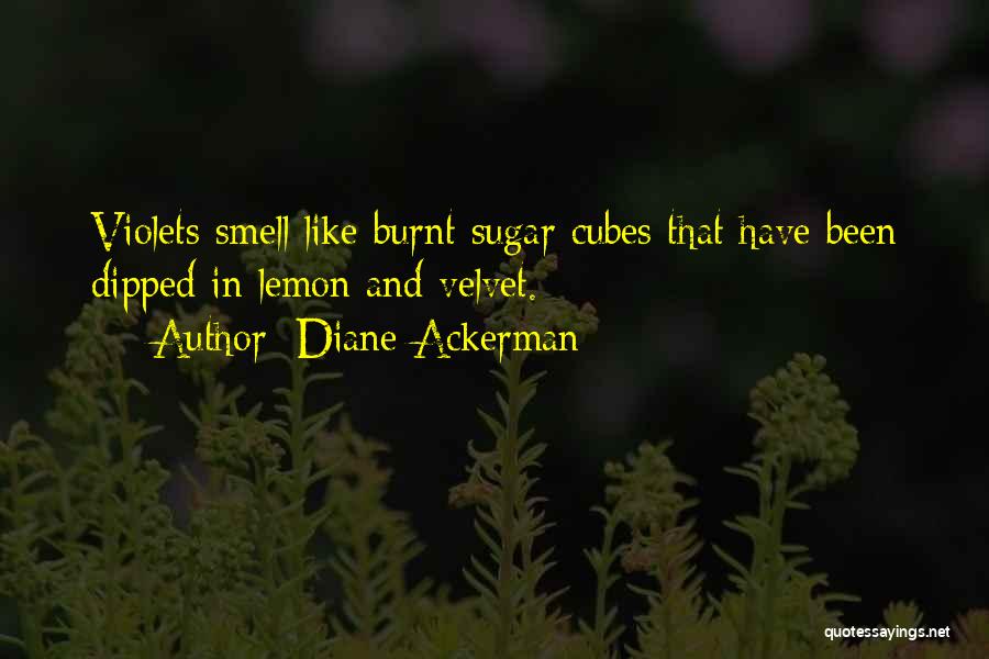 Diane Ackerman Quotes: Violets Smell Like Burnt Sugar Cubes That Have Been Dipped In Lemon And Velvet.