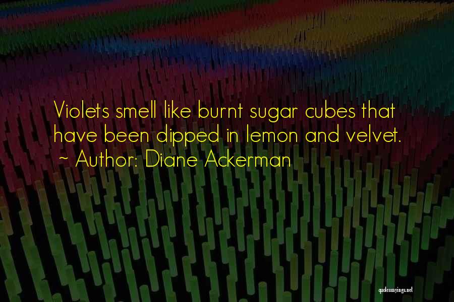 Diane Ackerman Quotes: Violets Smell Like Burnt Sugar Cubes That Have Been Dipped In Lemon And Velvet.