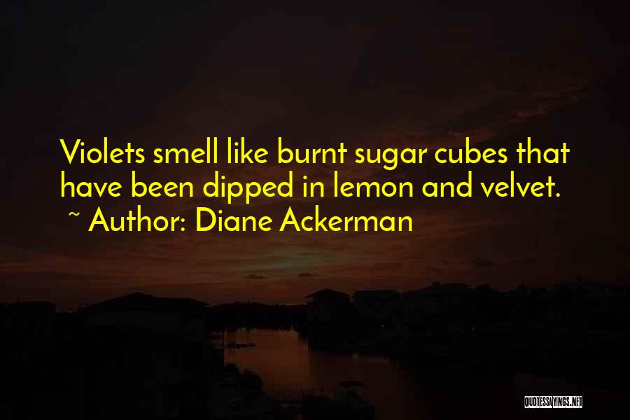 Diane Ackerman Quotes: Violets Smell Like Burnt Sugar Cubes That Have Been Dipped In Lemon And Velvet.