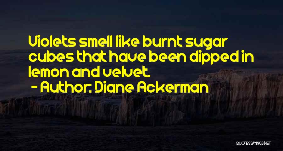 Diane Ackerman Quotes: Violets Smell Like Burnt Sugar Cubes That Have Been Dipped In Lemon And Velvet.