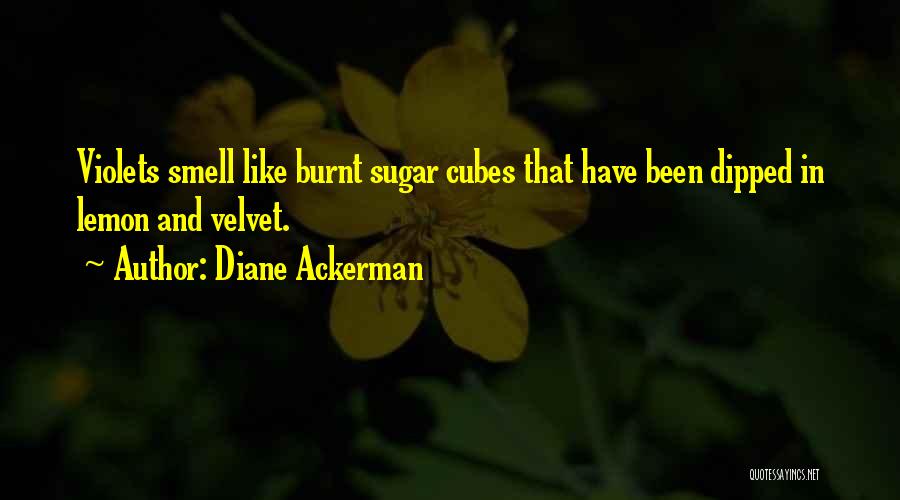 Diane Ackerman Quotes: Violets Smell Like Burnt Sugar Cubes That Have Been Dipped In Lemon And Velvet.
