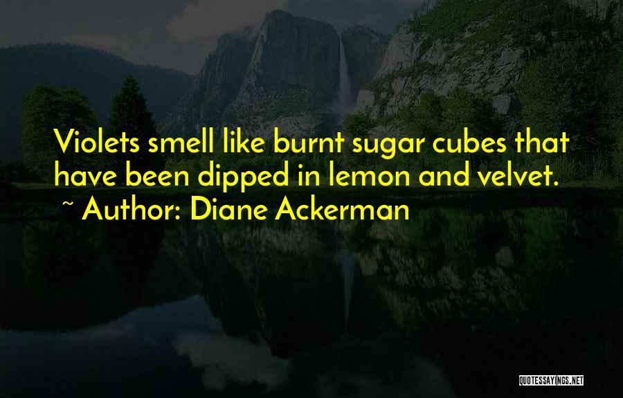 Diane Ackerman Quotes: Violets Smell Like Burnt Sugar Cubes That Have Been Dipped In Lemon And Velvet.