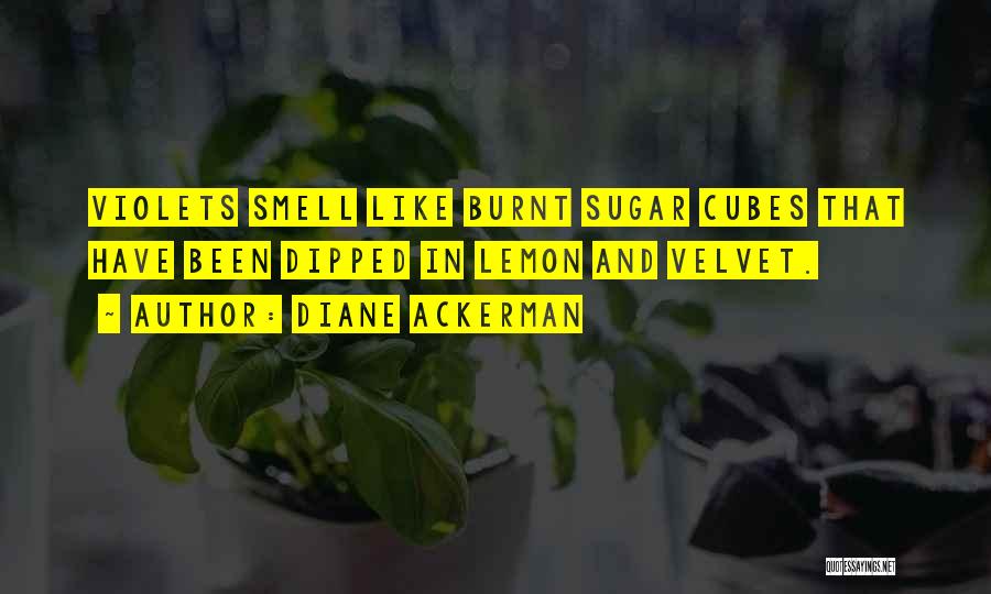 Diane Ackerman Quotes: Violets Smell Like Burnt Sugar Cubes That Have Been Dipped In Lemon And Velvet.