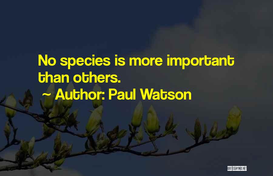 Paul Watson Quotes: No Species Is More Important Than Others.
