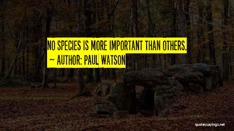 Paul Watson Quotes: No Species Is More Important Than Others.