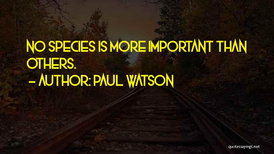 Paul Watson Quotes: No Species Is More Important Than Others.