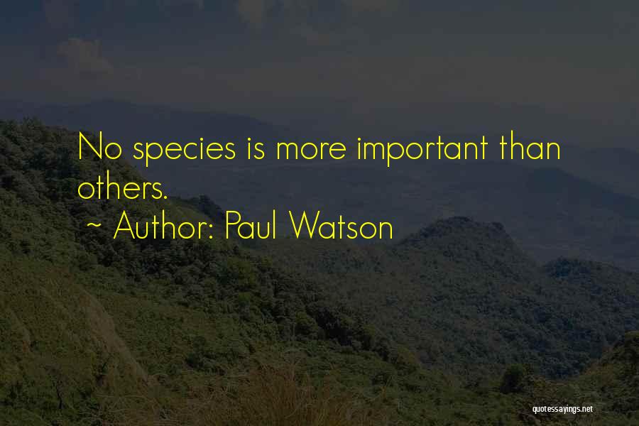 Paul Watson Quotes: No Species Is More Important Than Others.