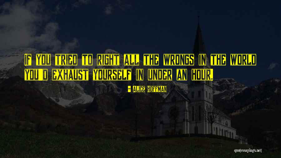 501st Parachute Quotes By Alice Hoffman 501st Parachute Quotes By Alice Hoffman