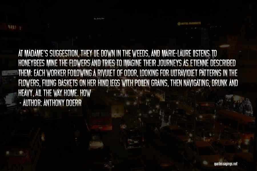 Anthony Doerr Quotes: At Madame's Suggestion, They Lie Down In The Weeds, And Marie-laure Listens To Honeybees Mine The Flowers And Tries To