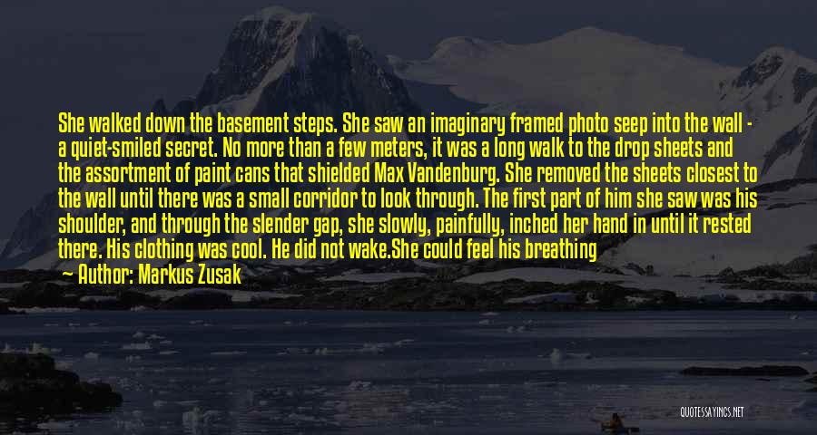 Markus Zusak Quotes: She Walked Down The Basement Steps. She Saw An Imaginary Framed Photo Seep Into The Wall - A Quiet-smiled Secret.