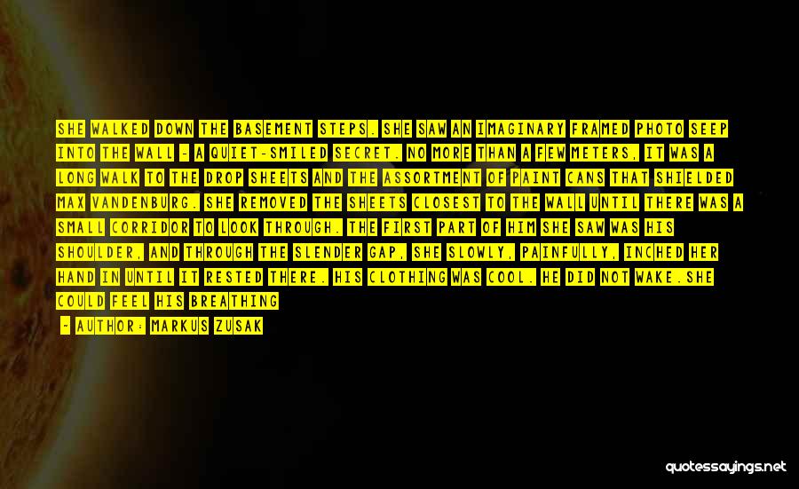 Markus Zusak Quotes: She Walked Down The Basement Steps. She Saw An Imaginary Framed Photo Seep Into The Wall - A Quiet-smiled Secret.