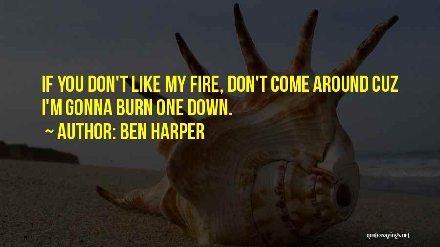 Ben Harper Quotes: If You Don't Like My Fire, Don't Come Around Cuz I'm Gonna Burn One Down.